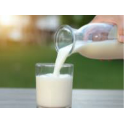 milk-protein